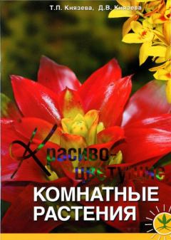 Обложка книги - Красивоцветущие комнатные растения - Татьяна Петровна Князева