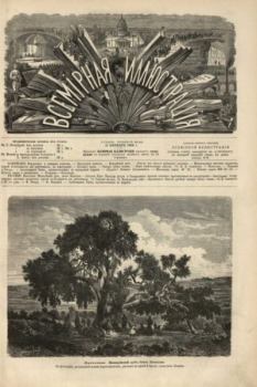 Обложка книги - Всемирная иллюстрация, 1869 год, том 2, № 42 -  журнал «Всемирная иллюстрация»