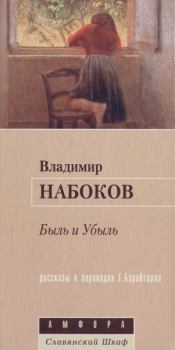 Книга - Забытый поэт. Владимир Владимирович Набоков - читать в Litvek