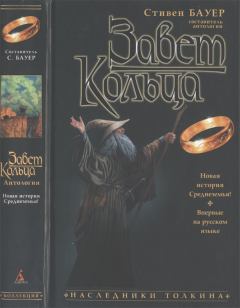 Обложка книги - Завет Кольца - Винфрид Чех