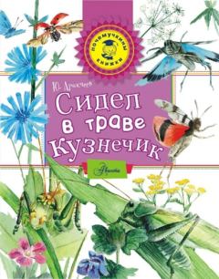 Обложка книги - Сидел в траве кузнечик - Юрий Сергеевич Аракчеев