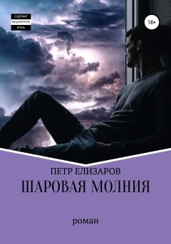 Книга - Шаровая молния. Петр Анатольевич Елизаров - читать в Litvek
