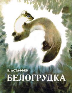 Книга - Белогрудка. Виктор Петрович Астафьев - читать в ЛитВек