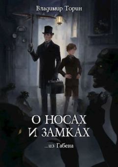 Обложка книги - О носах и замка́х - Владимир Торин