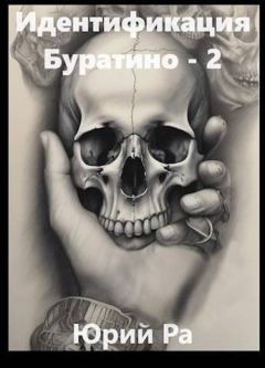 Обложка книги - Идентификация Буратино – 2 - Юрий Ра