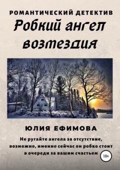 Книга - Робкий ангел возмездия. Юлия Ефимова - читать в Litvek