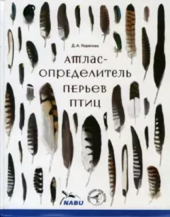 Книга - Атлас-определитель перьев птиц. Дарья Александровна Корепова - прочитать в Litvek
