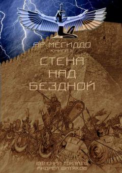 Обложка книги - Стена над бездной - Андрей Александрович Шитяков