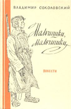 Книга - Мальчишки, мальчишки.... Владимир Григорьевич Соколовский - прочитать в Litvek