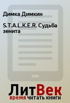 Обложка книги - S.T.A.L.K.E.R. Судьба зенита - Димка Димкин
