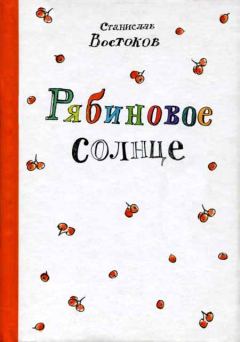 Книга - Рябиновое солнце. Станислав Владимирович Востоков - читать в Litvek