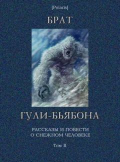 Книга - Брат гули-бьябона. Геннадий Мартович Прашкевич - прочитать в Litvek