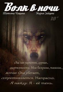 Книга - Волк в ночи. Мария Зайцева - прочитать в Litvek