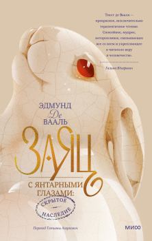 Книга - Заяц с янтарными глазами. Эдмунд де Вааль - прочитать в Litvek