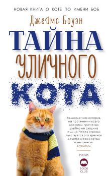 Книга - Тайна уличного кота. Джеймс Боуэн - читать в Litvek