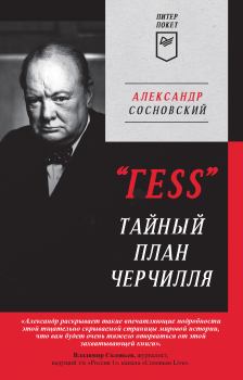 Книга - «ГESS». Тайный план Черчилля. Александр Сосновский - читать в Litvek