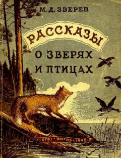 Обложка книги - Рассказы о зверях и птицах - Максим Дмитриевич Зверев