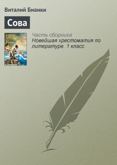 Обложка книги - Сова - Виталий Валентинович Бианки