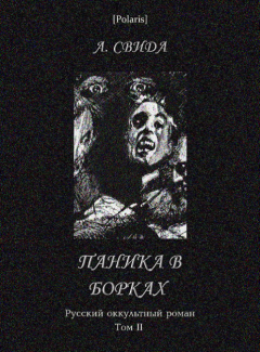 Обложка книги - Паника в Борках. Русский оккультный роман. Том II - Александра Свида