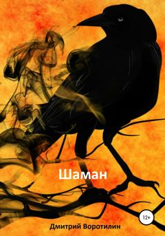 Книга - Шаман. Дмитрий Воротилин - читать в Litvek