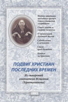 Книга - Подвиг христиан последних времён. Святитель Игнатий Брянчанинов - читать в Litvek