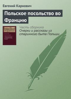 Обложка книги - Польское посольство во Францию - Евгений Петрович Карнович