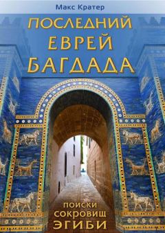 Книга - Последний еврей Багдада. Макс Кратер - читать в Litvek