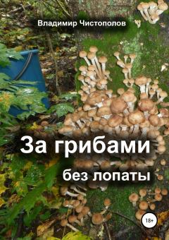 Обложка книги - За грибами без лопаты - Владимир Иванович Чистополов