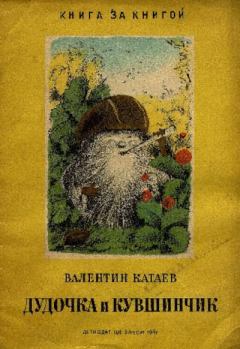 Книга - Дудочка и кувшинчик. Валентин Петрович Катаев - читать в Litvek