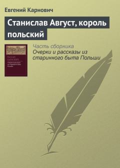 Книга - Станислав Август, король польский. Евгений Петрович Карнович - читать в Litvek