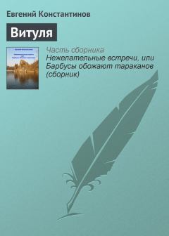 Книга - Витуля. Евгений Михайлович Константинов - читать в Litvek