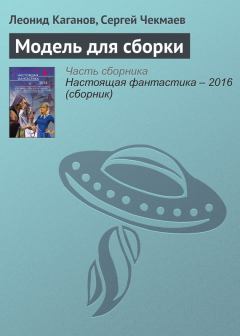 Обложка книги - Модель для сборки - Леонид Александрович Каганов (LLeo)