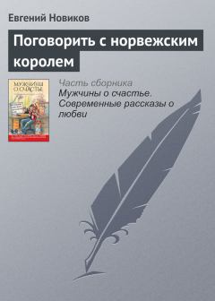 Книга - Поговорить с норвежским королем. Евгений Борисович Новиков - читать в Litvek
