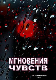 Обложка книги - Мгновения чувств - Евгений Мишкин