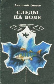 Обложка книги - Вода, настоянная на чернике - Анатолий Сергеевич Онегов