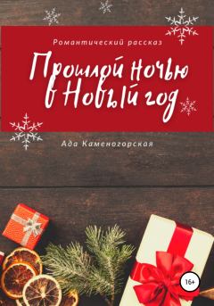 Книга - Прошлой ночью в Новый год. Ада Каменогорская - прочитать в Litvek