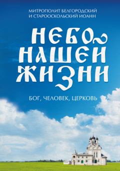 Книга - Небо нашей жизни. Бог, человек, церковь. Наталия Борисовна Черных - читать в Litvek