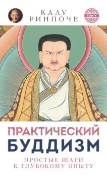 Книга - Практический буддизм. Том V. Простые шаги к глубокому опыту. Калу Ринпоче - читать в Litvek