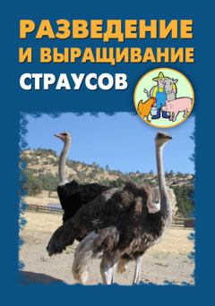 Обложка книги - Разведение и выращивание страусов - Илья Мельников