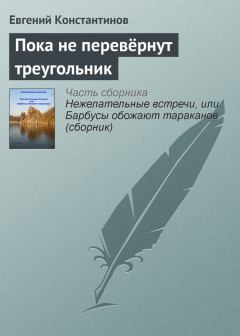 Книга - Пока не перевёрнут треугольник. Евгений Михайлович Константинов - прочитать в Litvek