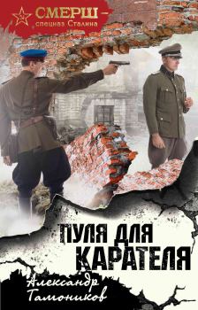 Книга - Пуля для карателя. Александр Александрович Тамоников - читать в Litvek