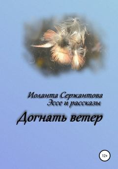 Обложка книги - Догнать ветер - Иоланта Ариковна Сержантова