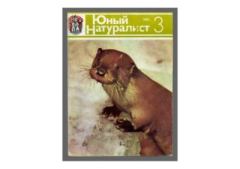 Книга - Юный натуралист 1981 №03. Журнал «Юный натуралист» - читать в Litvek
