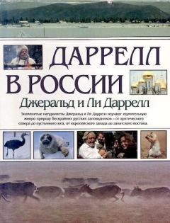 Книга - Даррелл в России. Джеральд Даррелл - читать в Litvek