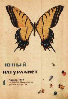 Книга - Юный натуралист 1936 №1. Журнал «Юный натуралист» - читать в Litvek