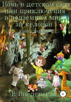 Книга - Ночь в детском саду, или Приключения в подземном мире айкелонов. Книга первая. Елена Введенская - прочитать в Litvek