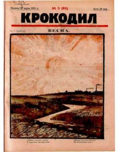 Книга - Крокодил 1924 № 05 (85).  Журнал «Крокодил» - читать в Litvek