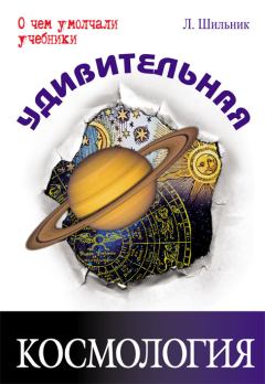 Книга - Удивительная космология. Лев Шильник - читать в Litvek