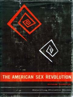 Книга - Американская сексуальная революция. Питирим Александрович Сорокин - читать в ЛитВек
