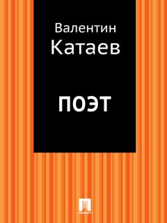 Книга - Поэт. Валентин Петрович Катаев - читать в Litvek